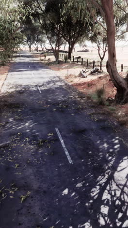 a long, straight, paved country road through a forest