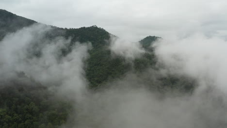 aerial flight above fluffy clouds over lush rainforest