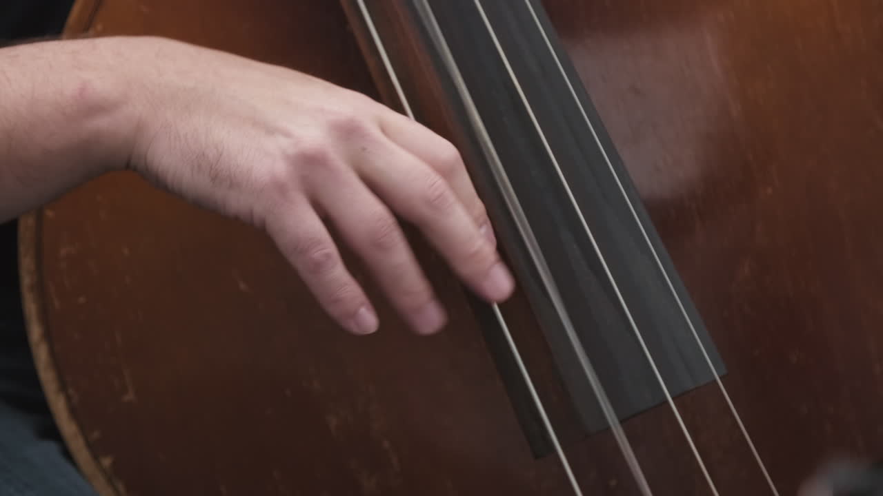 Unrecognizable Contrabassist Playing Acoustic Music