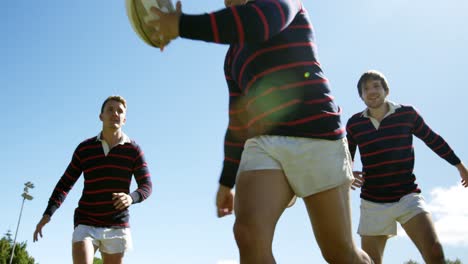 Rugby-players-celebrating-after-victory-4K-4k