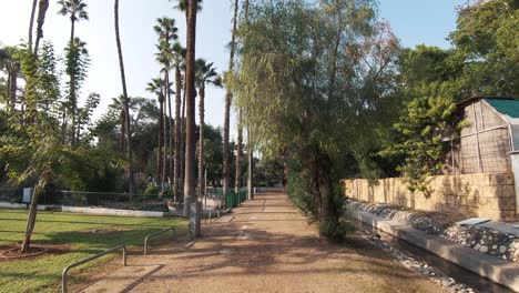 leisure-walk-in-wide-pathway-through-Limassol-Municipal-Park-Gardens,-Cyprus---Wide-push-in-gimbal-shot