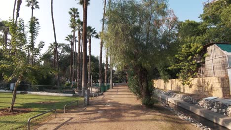leisure walk in wide pathway through limassol municipal park gardens, cyprus - wide push in gimbal shot