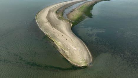 Aerial-view-of-an-isolated,-seaside-peninsula-populated-by-birds-on-a-sunny-day