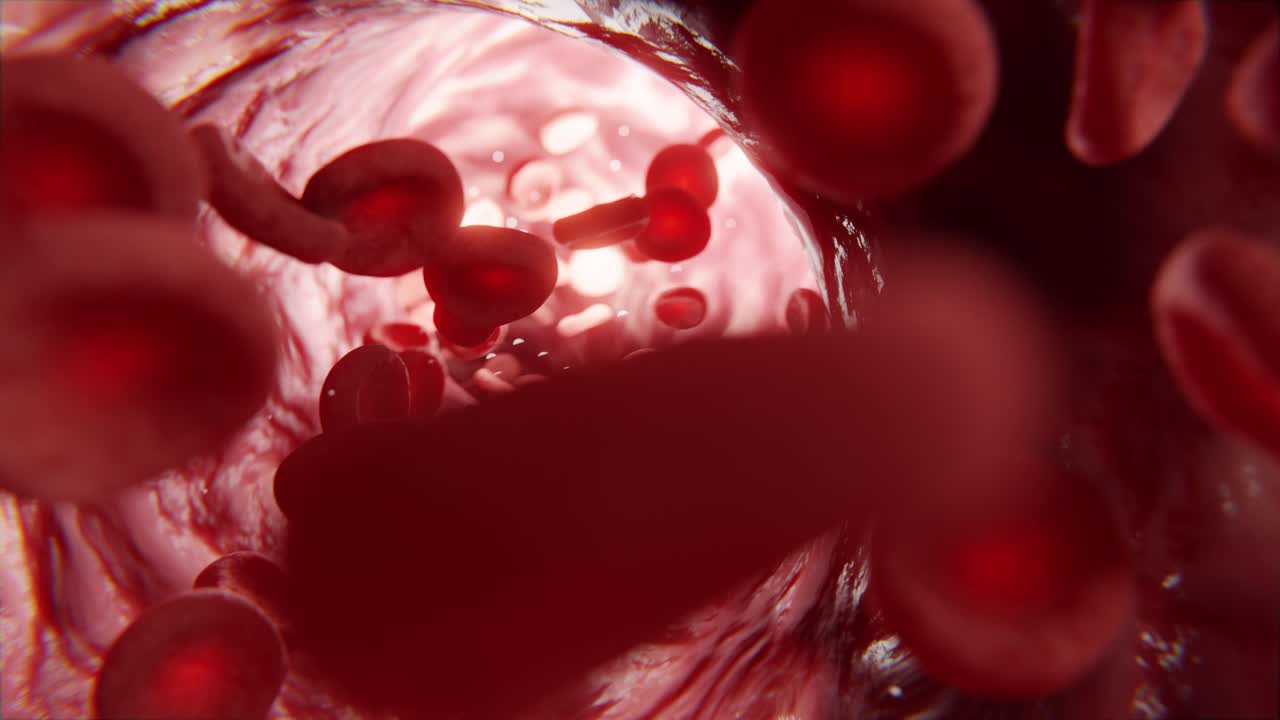 Red blood cells in vein, 3d animation