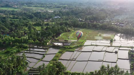 Globo-De-Aire-Caliente-Que-Se-Eleva-Sobre-Un-Campo-De-Arroz-Inundado-En-Ubud-Bali-Al-Amanecer,-Antena