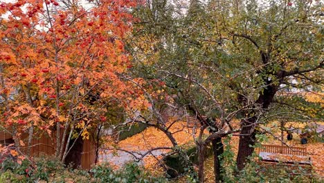 a stone wall covered with green ivy trees with autumn leaves beautiful autumn panorama