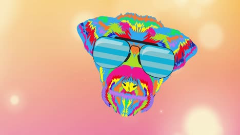 animation of rainbow dog in glasses on orange background