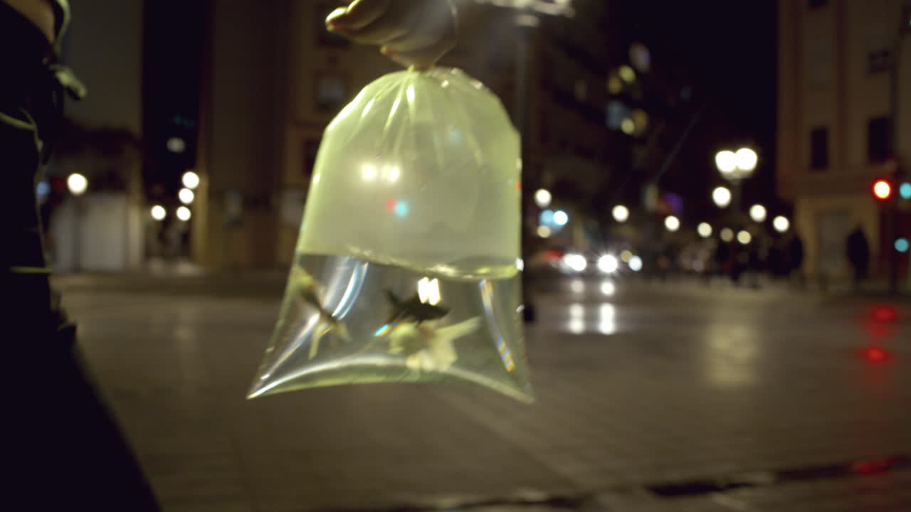 bolsa con pez dorado - tiro medio