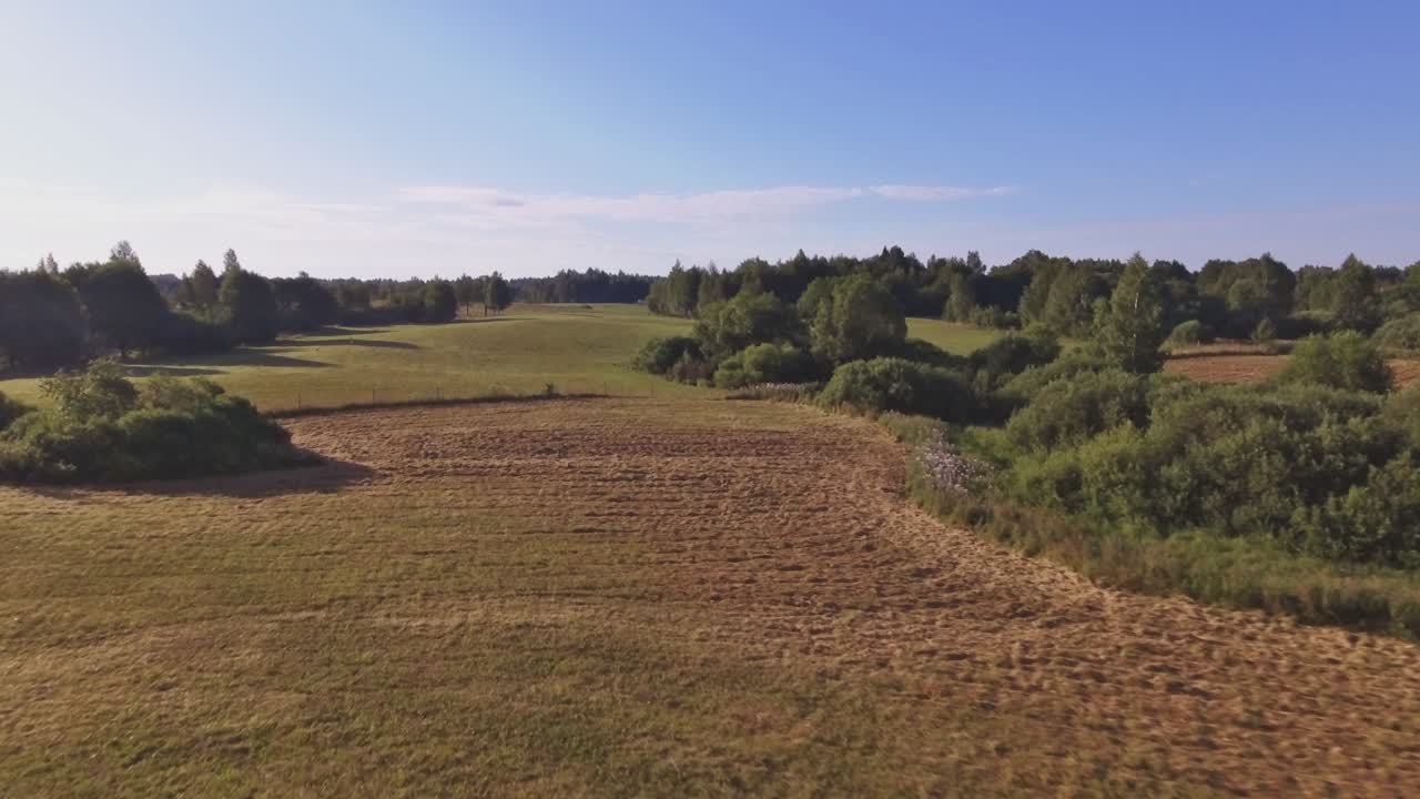 Fenced Field Patches Between Trees And Shrubs. Dolly In Pedestal Down
