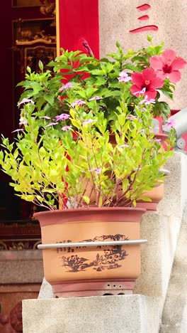 colorful plants and architecture in hong kong temple