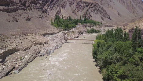 agua turbia que fluye en zanskar con álamos que crecen al borde del río en leh ladakh, india