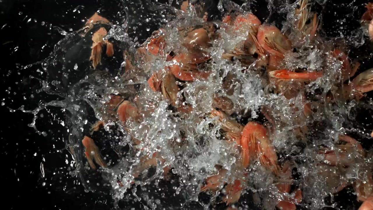 Gekochte rote Garnelen fallen in spritzendes Wasser auf schwarzem Hintergrund