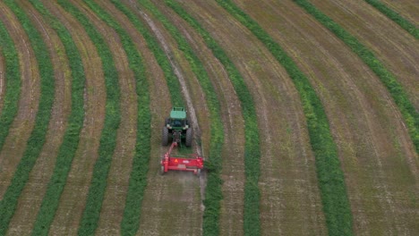 los ritmos de la naturaleza: vista aérea de teddy, rastrillo y un tractor verde en campos circulares de la columbia británica
