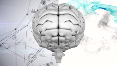 compuesto digital del cerebro
