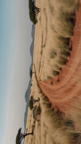 desert road landscape