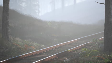 el ferrocarril vacío pasa por el bosque brumoso por la mañana