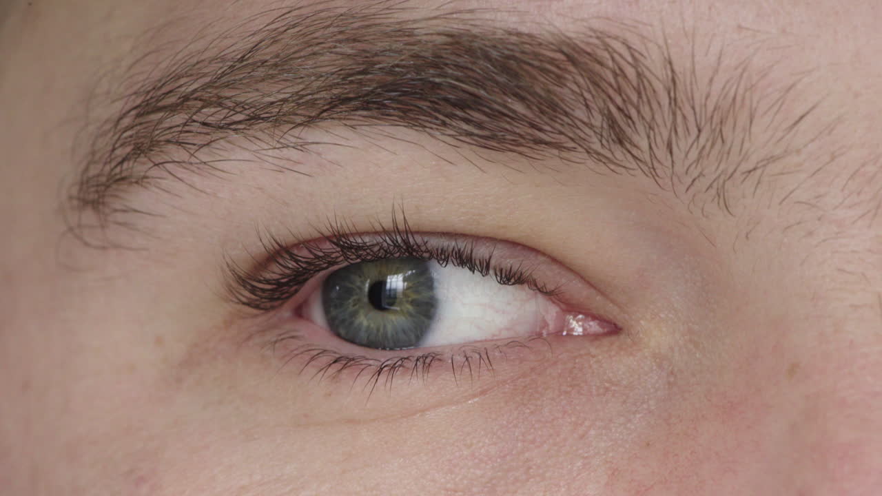 카메라를 바라보는 파란 눈의 남자의 근접 사진, 아이리스에 대한 사려 깊은 반사