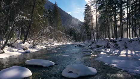 Schöner-Schneeszenenwald-Im-Winter.-Überfliegen-Von-Fluss--Und-Kiefernbäumen,-Die-Mit-Schnee-Bedeckt-Sind.