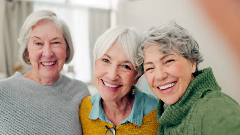 selfie, fun and senior woman friends happy