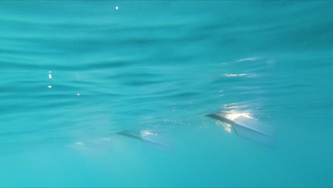 Underwater-point-of-view-swimming-through-rowing-boat-paddles-under-the-sea