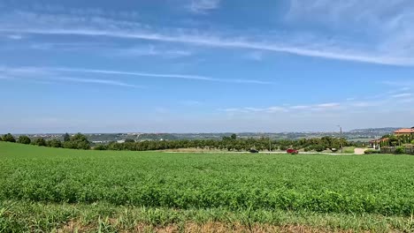 lush fields under a vibrant sky