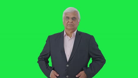 indian senior indian businessman smiling looking at the camera green screen