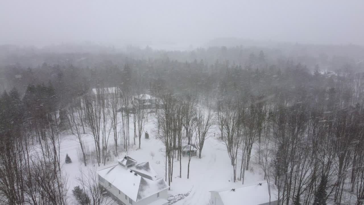 Forest in winter during heavy snow storm white covered ground nature landscape