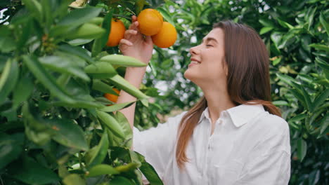 smiling woman enjoying tangerines garden close up. lady smelling oranges posing