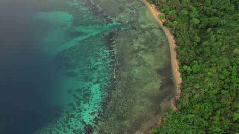 secluded virgin beach near tropical forest, exotic clear water ocean, aerial