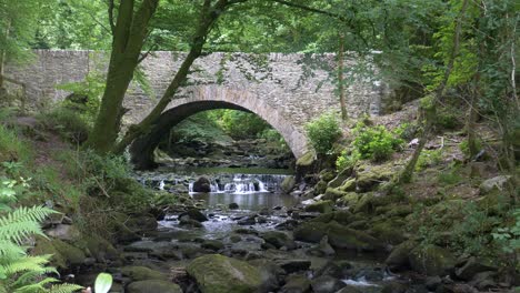 Pequeño-Puente-De-Hormigón-Sobre-Un-Arroyo-Rocoso-En-El-Parque-Nacional-De-Killarney,-Condado-De-Kerry,-Irlanda