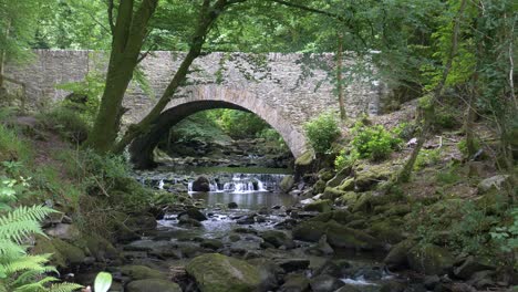 small concrete bridge over rocky stream in killarney national park, county kerry, ireland