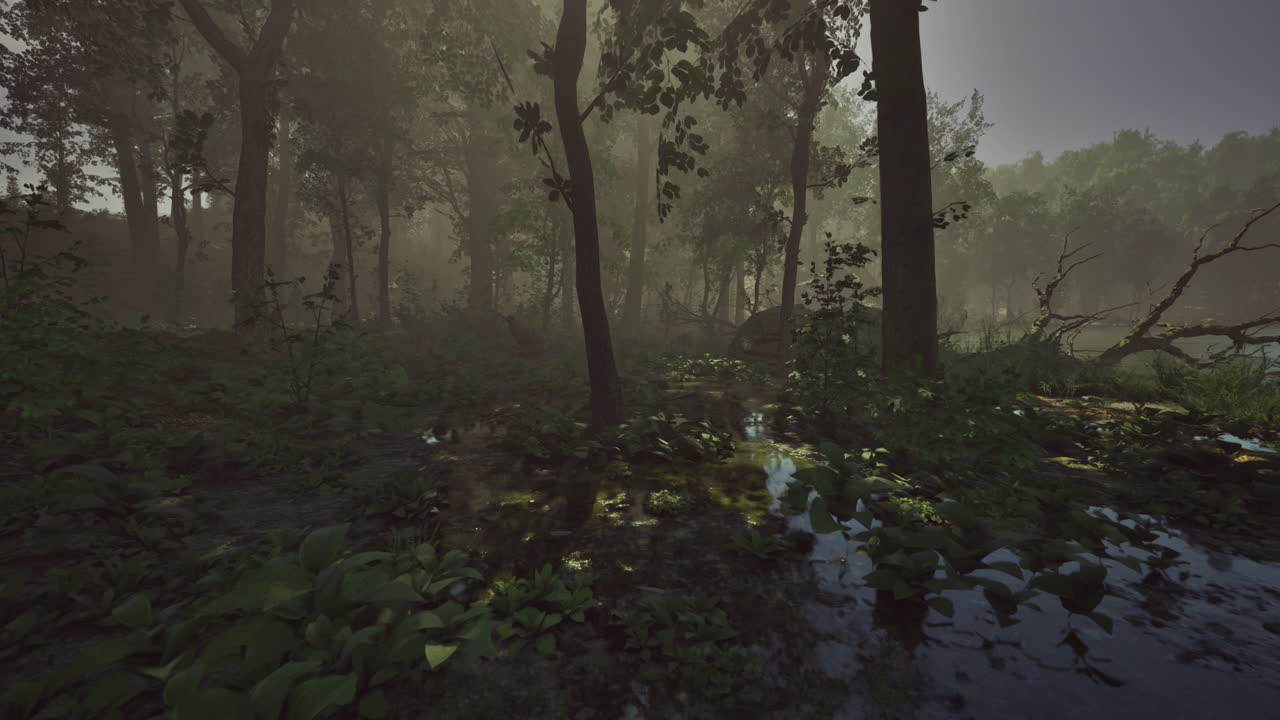 Misty early morning in serene woods with lush greenery and soft sunlight