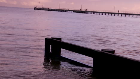 sea birds perched on the remains of a structure with a pier in the background then flew away