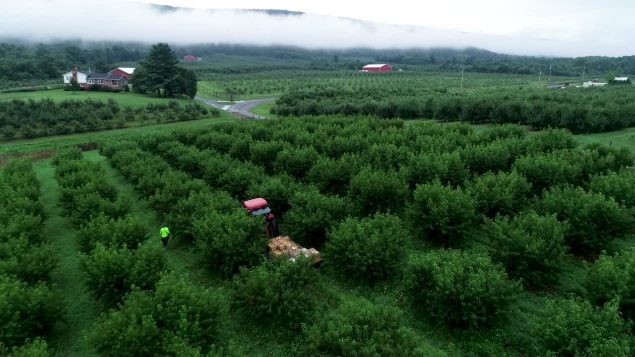 Aerial camera pulling away showing tractor and setting of orchard in the mountains with clouds