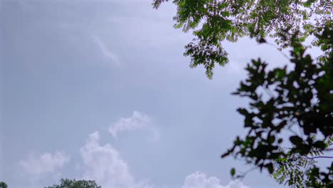 View-between-the-great-palace-and-inscription-temple-at-Palenque-Chiapas-Mexico-tilt-shot-between-maya-culture-jungle