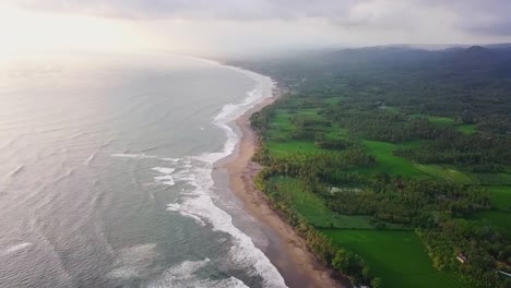 Luftaufnahme-Eines-Strandes-Mit-Wellen,-Die-Das-Ufer-Erreichen,-Und-Einer-Großen-Grünfläche-Mit-Bäumen