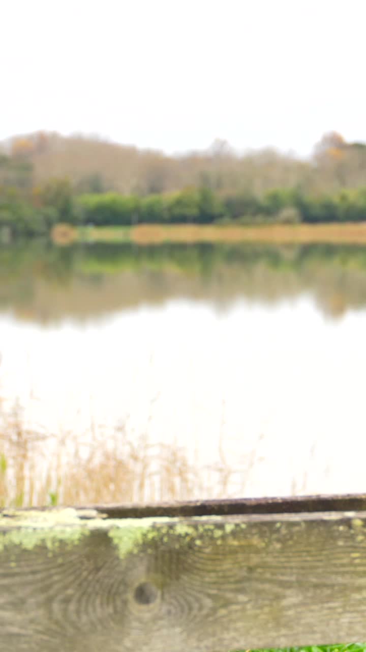 Woman in cowboy hat and denim jacket near a lake