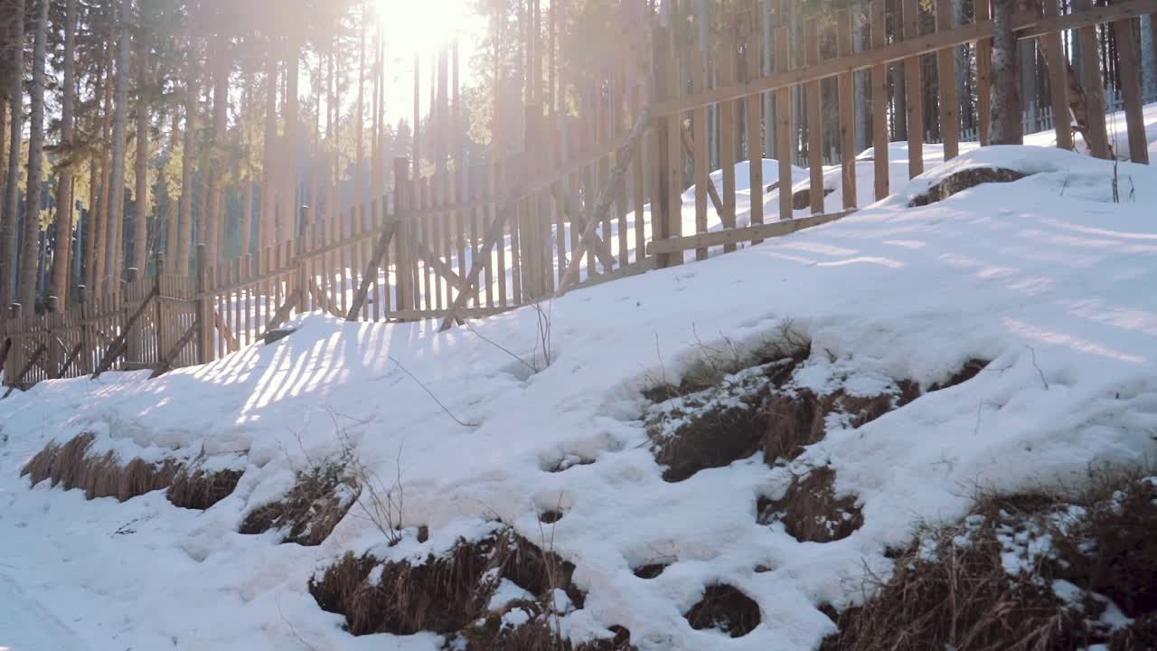 Slow Follow Shot Of Sun Shining Through Trees With Fence On Snow Covered Landscape