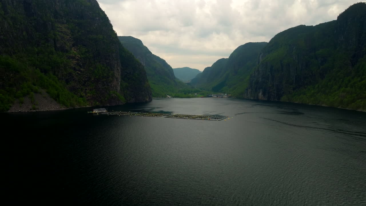 Fish farm rings float in calm fjord waters surrounded by forested hills in Norway aerial establishing dolly
