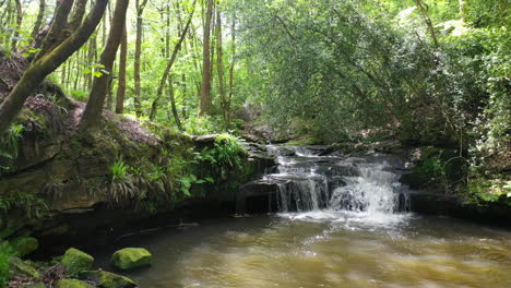 Short-footage-of-a-clearing-in-the-woods-in-a-Yorkshire-forest-of-a-waterfall,-using-a-drone