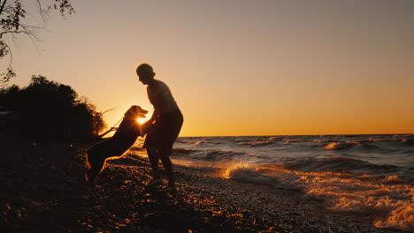 Silhouette-Einer-Frau,-Die-Bei-Sonnenuntergang-Mit-Ihrer-Hunderasse-Kaukasischer-Hirte-Spielt