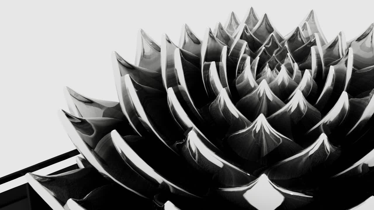 animación hipnótica de la flor de loto desove pétalos infinitos en blanco y negro, bucle
