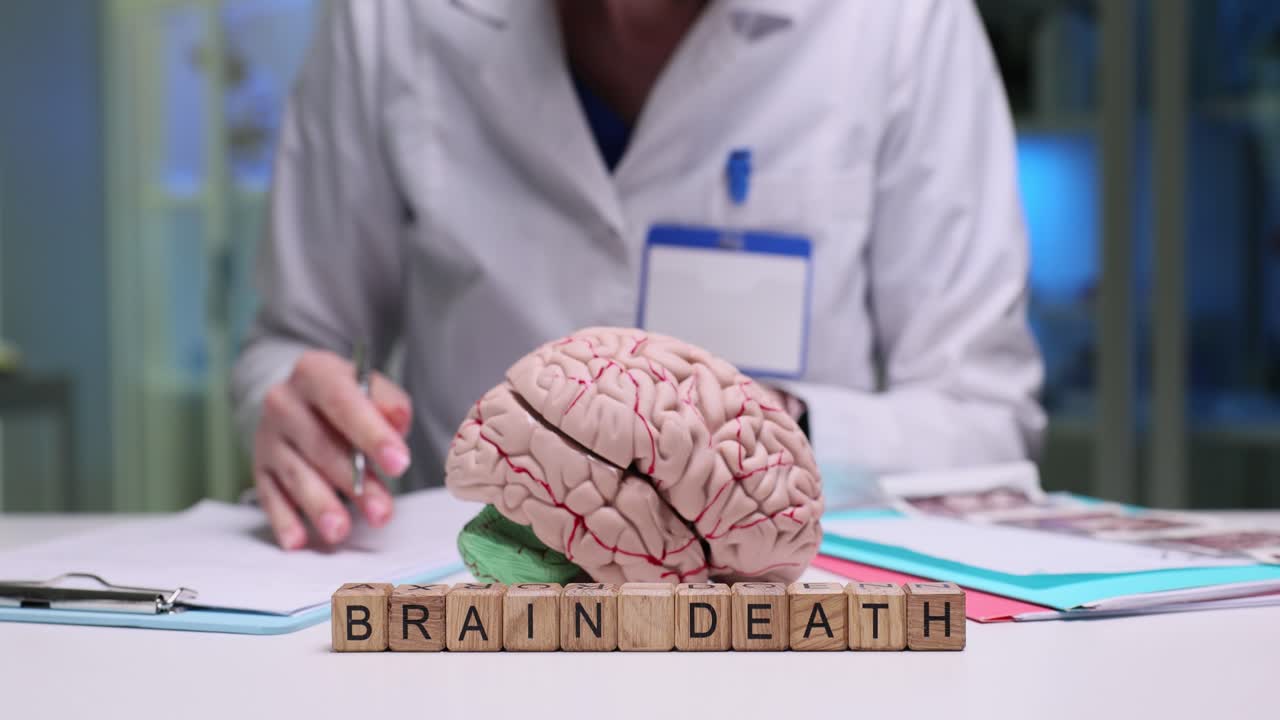 डॉक्टर मस्तिष्क मृत्यु निर्धारित करता है और निष्कर्षों को दस्तावेज़ में दर्ज करता है।