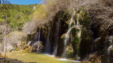 cascada de aguas puras y vegetación de colores verdes y amarillos