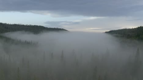 flying above green forest on the mountain, fog flowing in to the valley through the trees