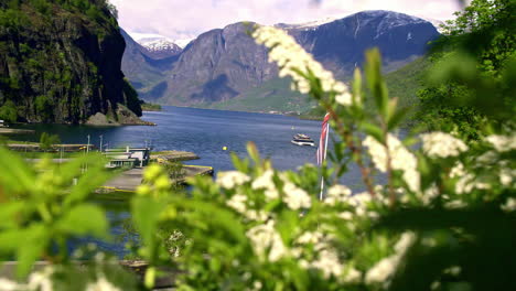 view of the water of a fjord and the mountains beyond from behind green bushes