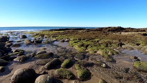 Streams-of-saltwater-return-to-the-sea-at-low-tide,-Puerto-Peñasco,-Gulf-of-California,-Mexico