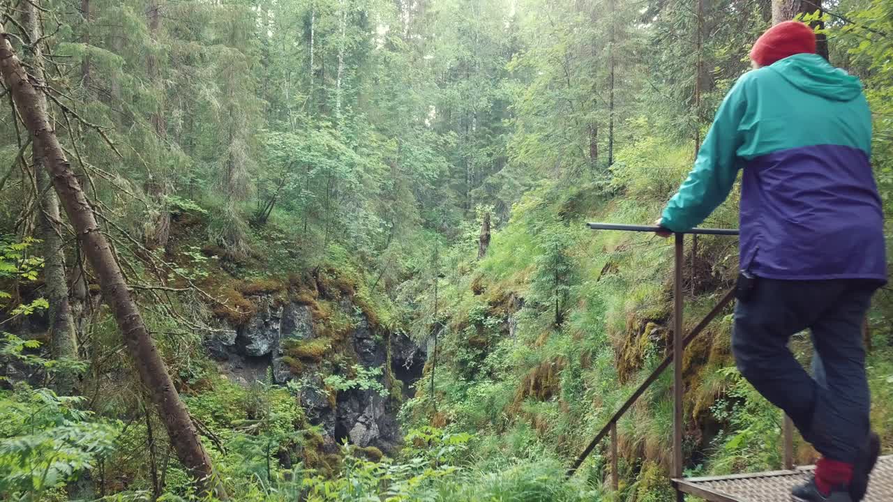 paisaje de valle forestal