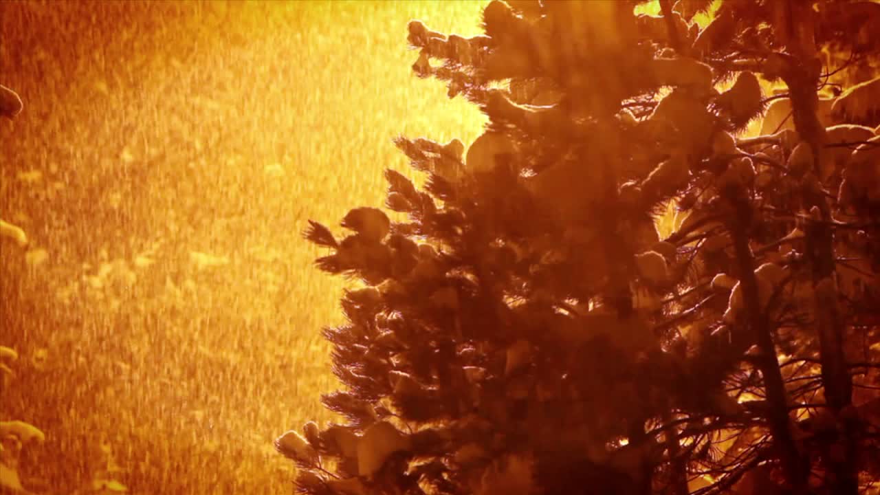 la nieve cae pesadamente en la noche