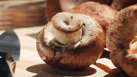 close-up of a mushroom on a cutting board